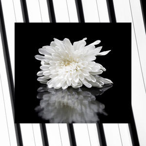 Meet your Posher Sharp and Frugal